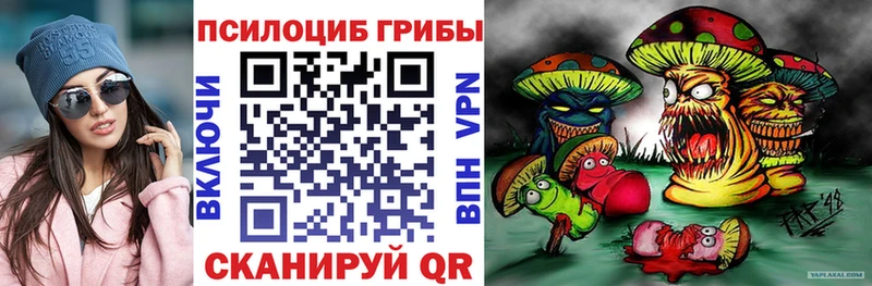 Псилоцибиновые грибы мухоморы  Нарьян-Мар 