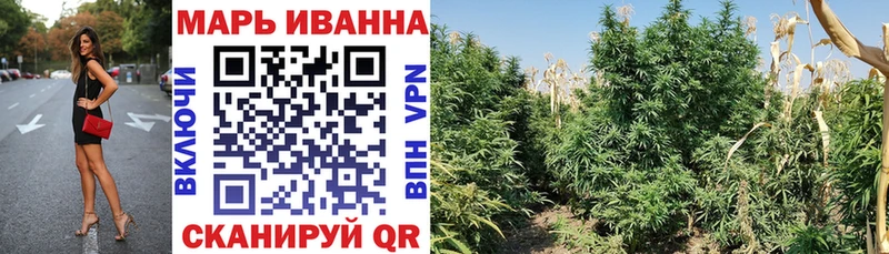 купить дарк нет клад Шишки марихуана планчик Нарьян-Мар